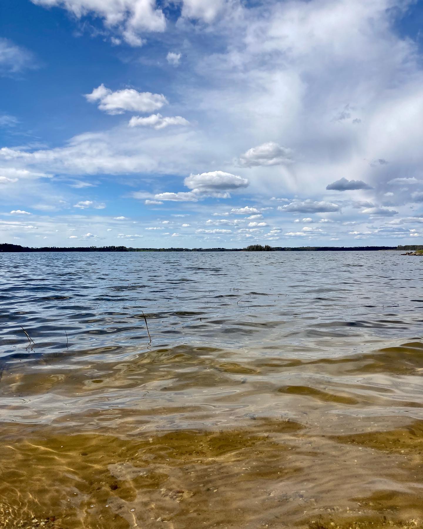 Kalna Raskumi, Viesu nams, Vecpiebalga, Alauksta ezers | Catamaran rental in Alauksta Lake, Vecpiebalga Kalna Raskumi, Viesu nams, Vecpiebalga, Alauksta ezers | Catamaran rental in Alauksta Lake, Vecpiebalga